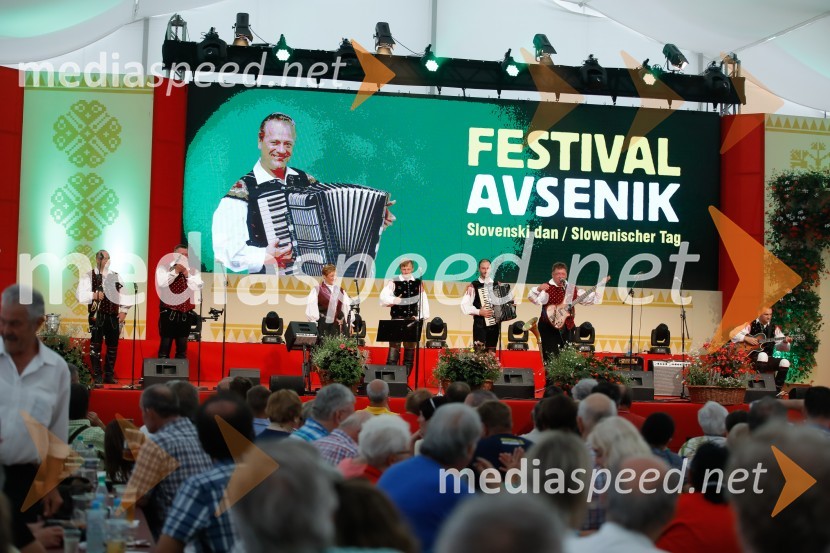 Festival Avsenik 2017, nedelja