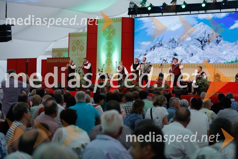 Festival Avsenik 2017, nedelja