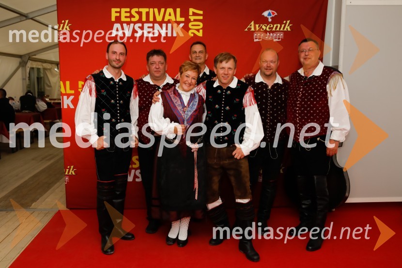 Festival Avsenik 2017, nedelja