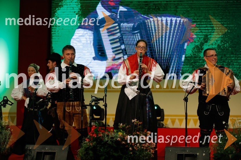 Festival Avsenik 2017, nedelja