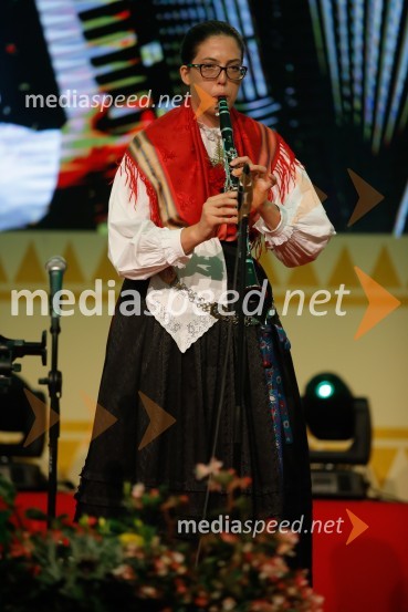 Festival Avsenik 2017, nedelja