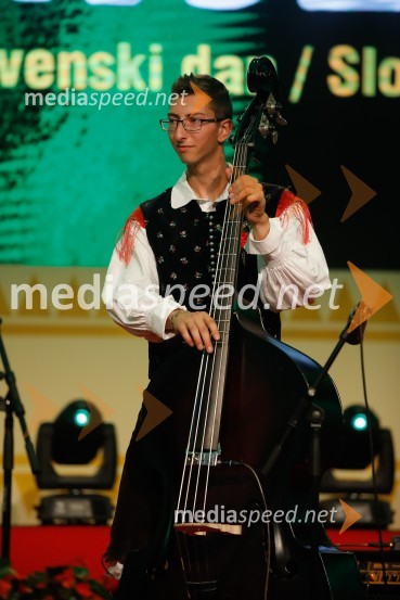 Festival Avsenik 2017, nedelja