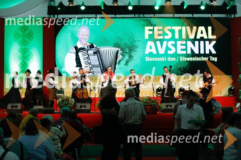 Festival Avsenik 2017, nedelja