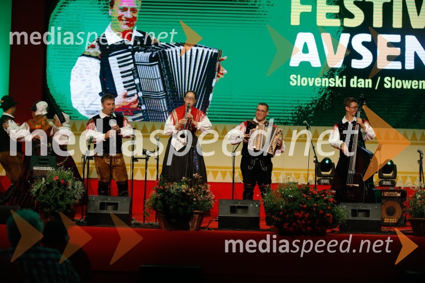 Festival Avsenik 2017, nedelja