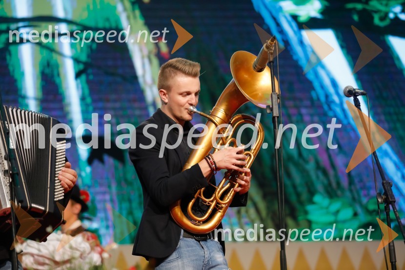  Lovro Sadek, glasbenik, Poskočni muzikantiFestival Avsenik 2017, nedelja