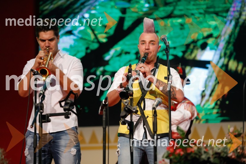  Dejan Krajnc, glasbenik, Poskočni muzikantiFestival Avsenik 2017, nedelja