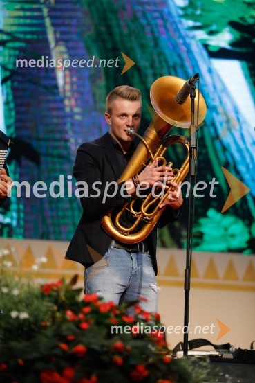  Lovro Sadek, glasbenik, Poskočni muzikantiFestival Avsenik 2017, nedelja