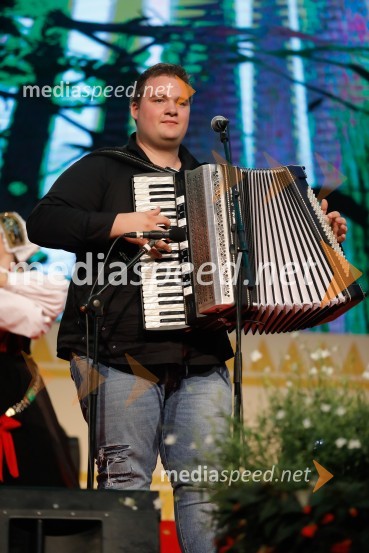  Martin Juhart, glasbenik, Poskočni muzikantiFestival Avsenik 2017, nedelja