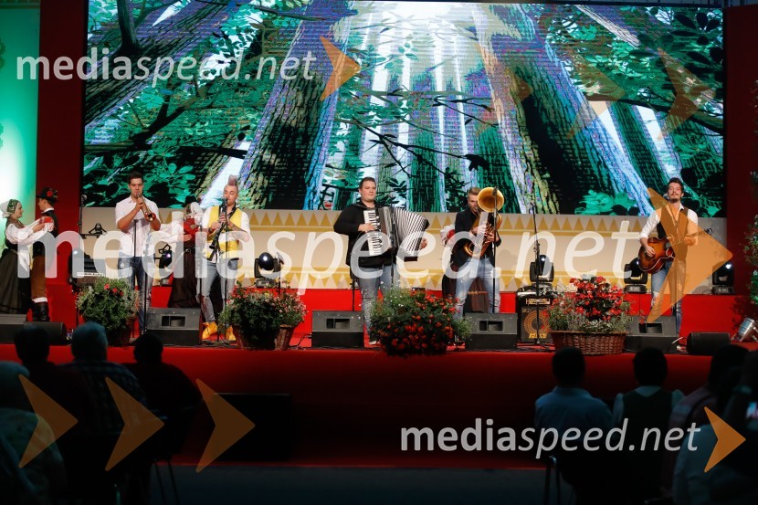 Festival Avsenik 2017, nedelja