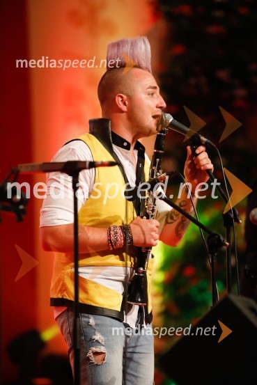  Dejan Krajnc, glasbenik, Poskočni muzikantiFestival Avsenik 2017, nedelja