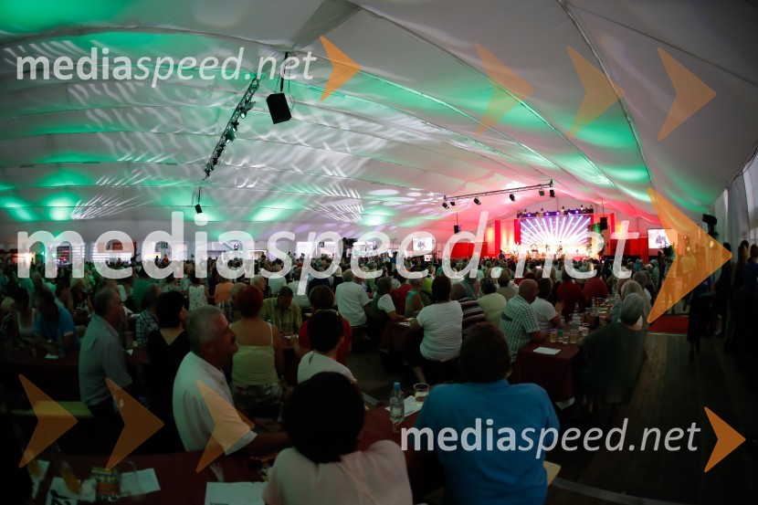 Festival Avsenik 2017Festival Avsenik 2017, nedelja
