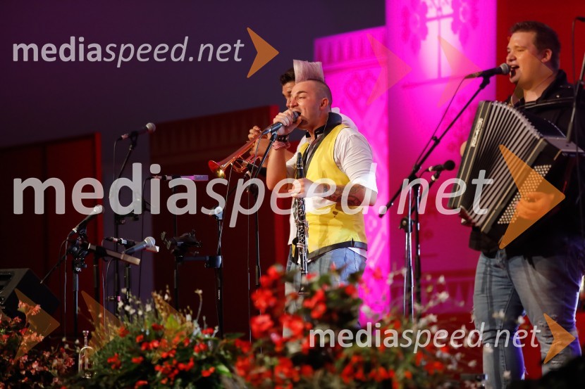  Dejan Krajnc, glasbenik, Poskočni muzikantiFestival Avsenik 2017, nedelja
