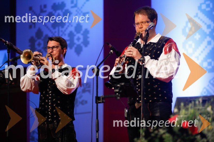 Festival Avsenik 2017, nedelja