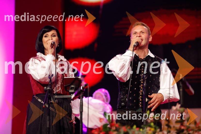 Festival Avsenik 2017, nedelja