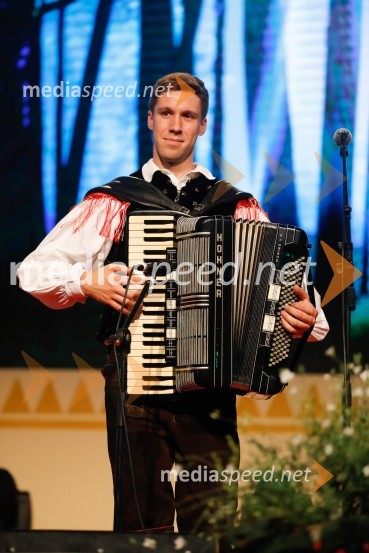  Sašo Avsenik, glasbenik, Ansambel Saša AvsenikaFestival Avsenik 2017, nedelja