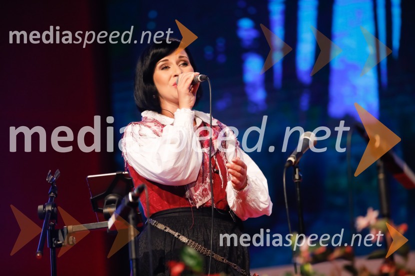 Festival Avsenik 2017, nedelja