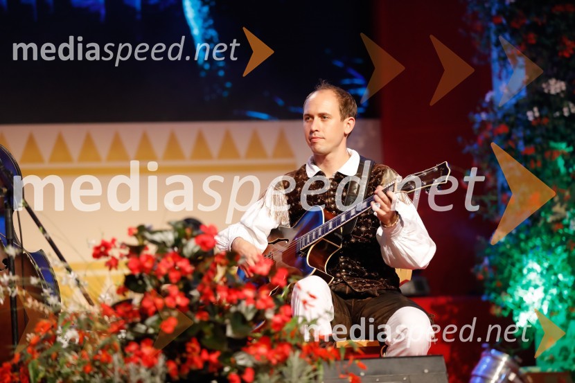 Festival Avsenik 2017, nedelja