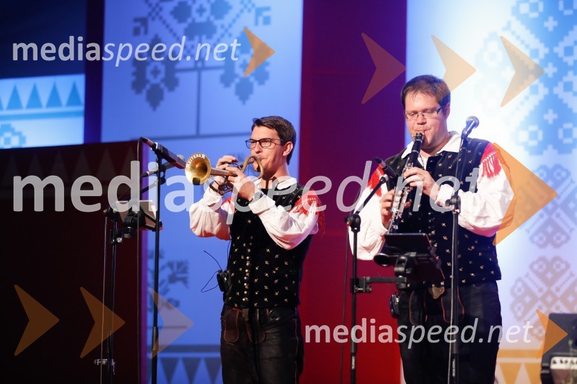 Festival Avsenik 2017, nedelja