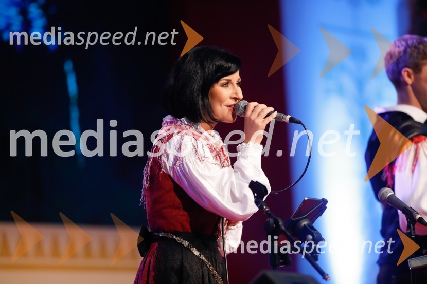 Festival Avsenik 2017, nedelja