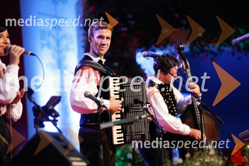 Festival Avsenik 2017, nedelja