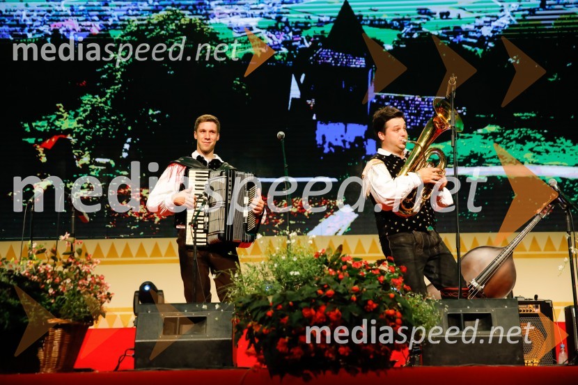 Festival Avsenik 2017, nedelja