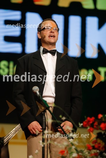 Festival Avsenik 2017, nedelja