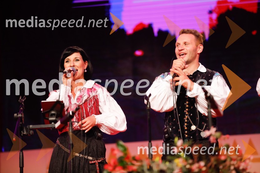 Festival Avsenik 2017, nedelja