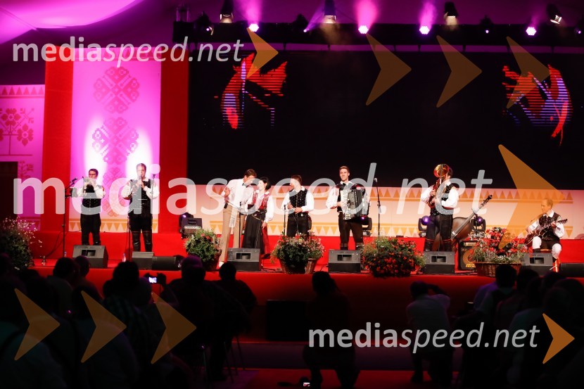 Festival Avsenik 2017, nedelja