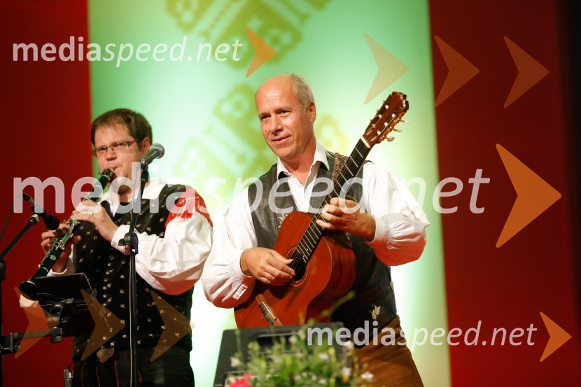 Festival Avsenik 2017, nedelja