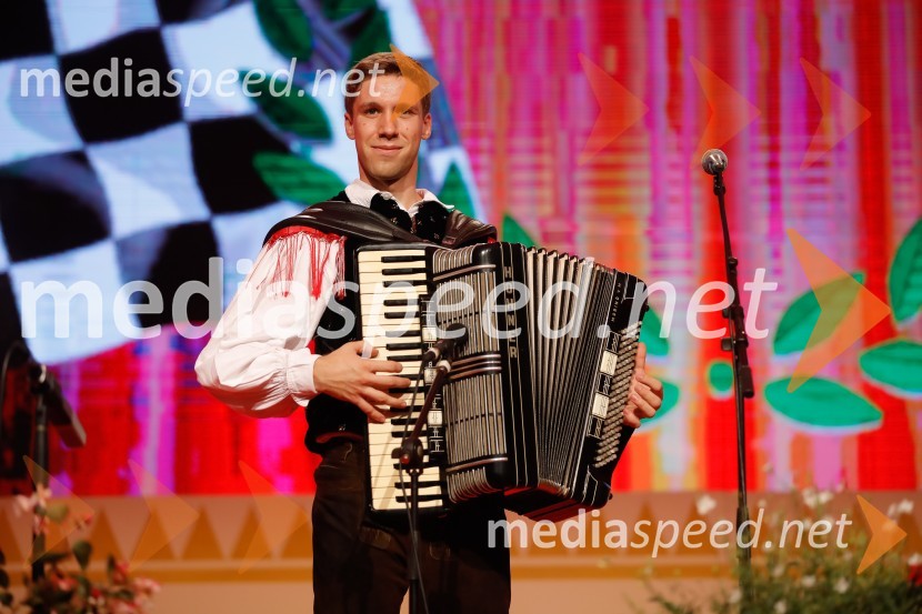 Festival Avsenik 2017, nedelja