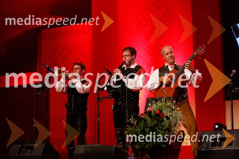 Festival Avsenik 2017, nedelja