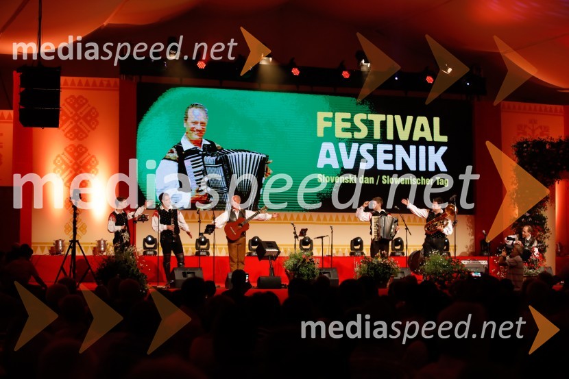 Festival Avsenik 2017, nedelja