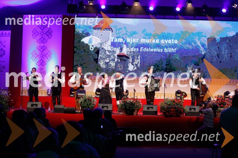 Festival Avsenik 2017, nedelja