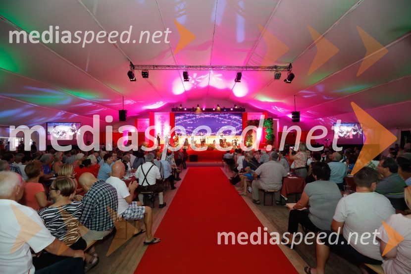 Festival Avsenik 2017Festival Avsenik 2017, nedelja
