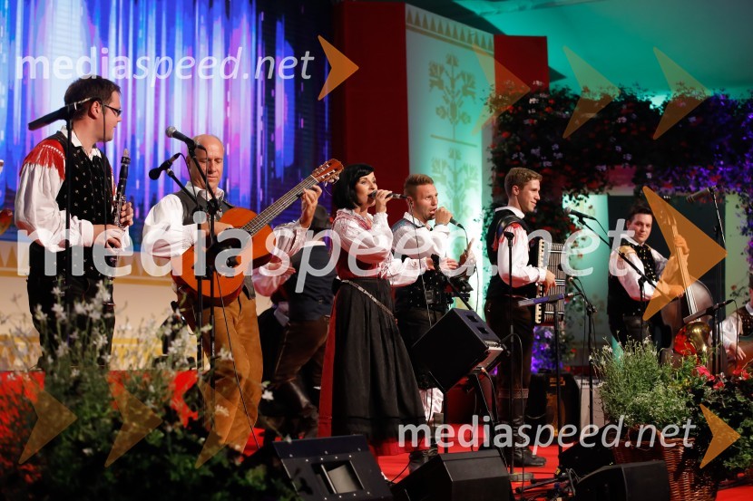 Festival Avsenik 2017, nedelja