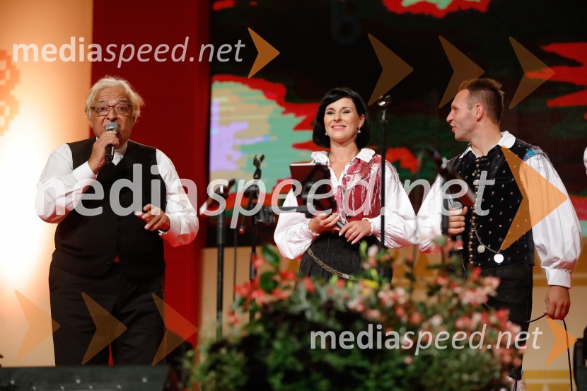  Oto Pestner, pevec;  ... ;  ... Festival Avsenik 2017, nedelja