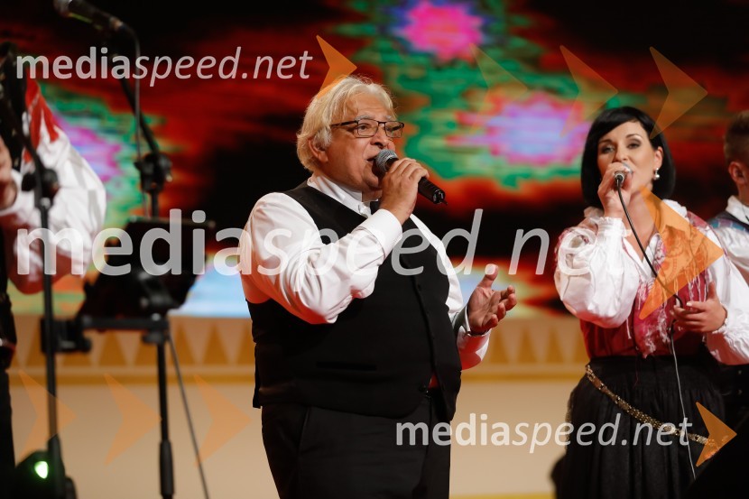  Oto Pestner, pevecFestival Avsenik 2017, nedelja
