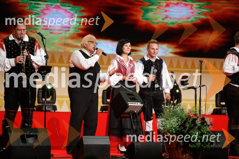 Festival Avsenik 2017, nedelja