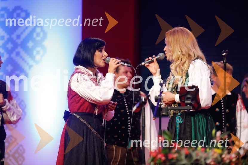 Festival Avsenik 2017, nedelja