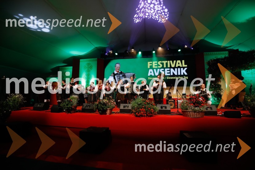 Festival Avsenik 2017Festival Avsenik 2017, nedelja