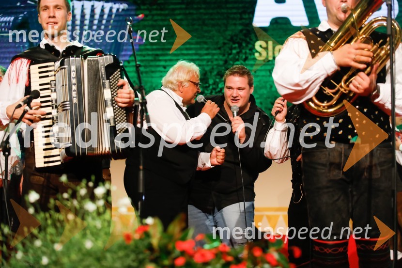 Festival Avsenik 2017, nedelja