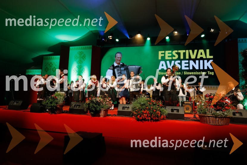 Festival Avsenik 2017Festival Avsenik 2017, nedelja