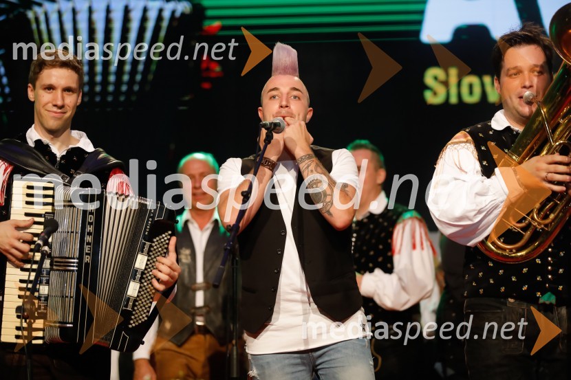Festival Avsenik 2017, nedelja