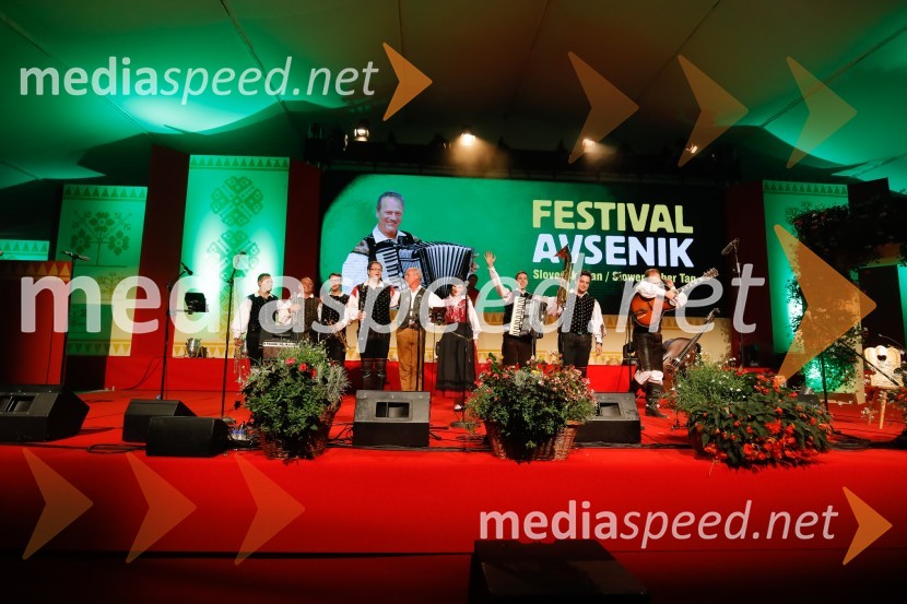 Festival Avsenik 2017, nedelja