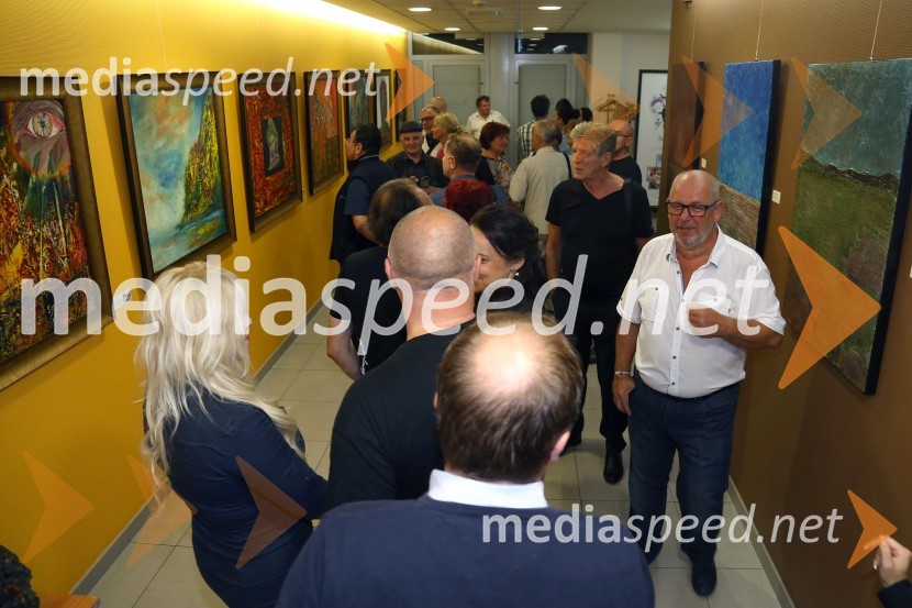 Otvoritev likovne razstave z naslovom Mir