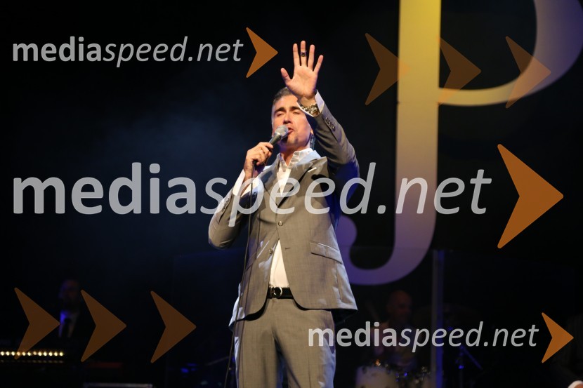  Jan Plestenjak, pevecJan Plestenjak, koncert