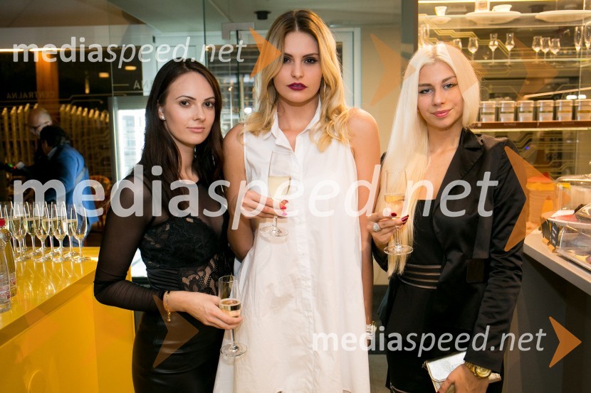 World Top Model Slovenia 2017 Nataša Ristić