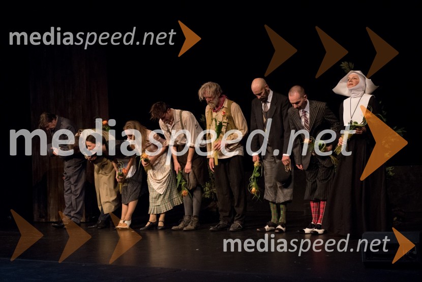  Mario Šelih, igralec;  Rastko Krošl, igralec;  Minca Lorenci, igralka;  Manca  Ogorevc, igralka;  Blaž Dolenc, igralec;  Branko Završan, igralec;  Igor Sancin, igralec;  David Čeh, igralec;  Jagoda Tovirac, igralkaErazem in potepuh, premiera otroške predstave