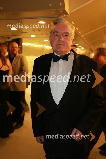 Jože Hudeček, novinarViktorji 2007, rdeča preproga, zakulisje, after party