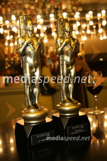 ViktorjaViktorji 2007, rdeča preproga, zakulisje, after party